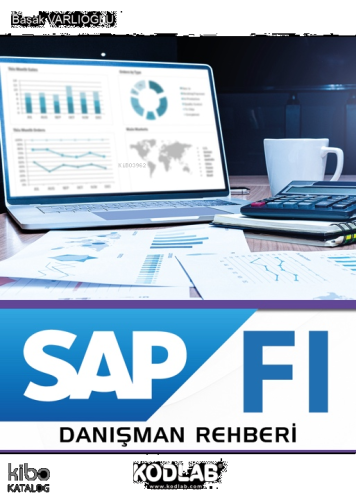 Sap Fı Danışman Rehberi