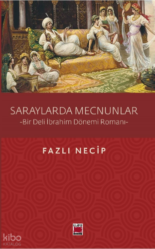 Saraylarda Mecnunlar ;Bir Deli İbrahim Dönemi Romanı