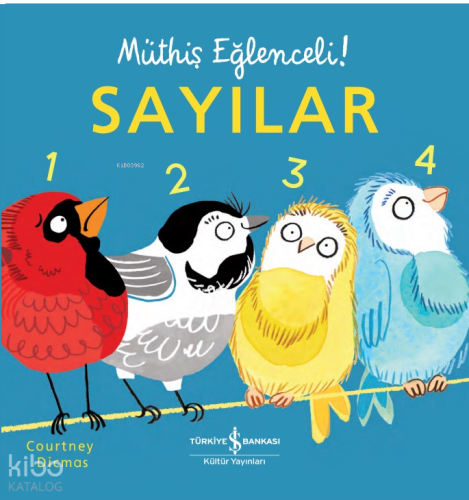 Sayılar – Müthiş Eğlenceli!