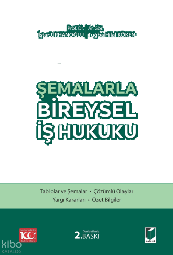 Şemalarla Bireysel İş Hukuku