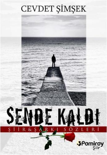 Sende Kaldı; Şiir - Şarkı Sözleri