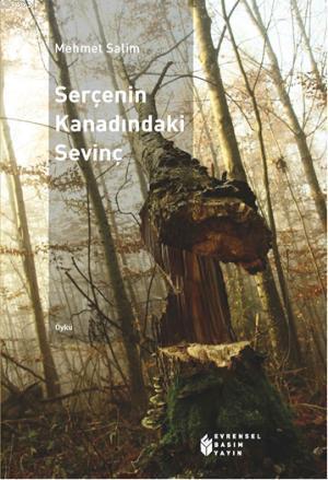 Serçenin Kanadındaki Sevinç