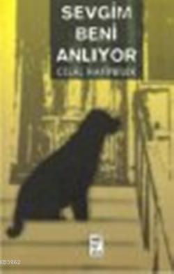 Sevgim Beni Anlıyor