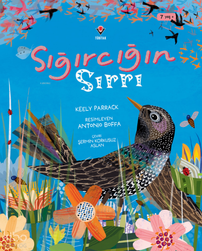 Sığırcığın Sırrı