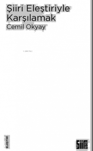 Şiiri Eleştiriyle Karşılamak