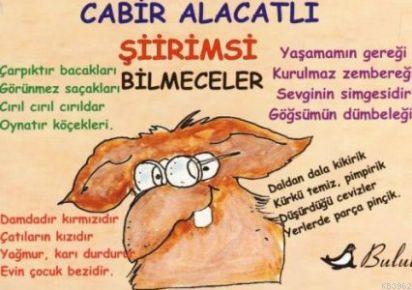 Şiirimsi Bilmeceler; Mizah Dizisi