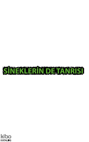 Sineklerin de Tanrısı