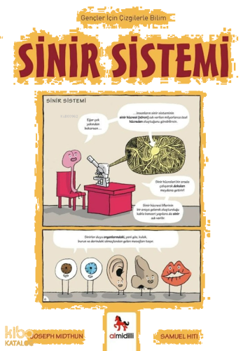 Sinir Sistemi - Gençler İçin Çizgilerle Bilim