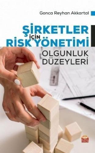 Şirketler İçin Risk Yönetimi; Olgunluk Düzeyleri