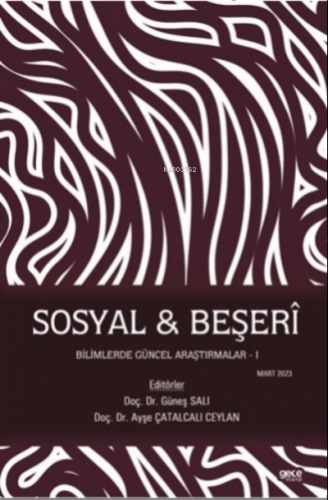 Sosyal & Beşerî Bilimlerde Güncel Araştırmalar