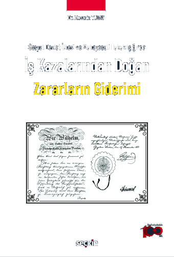 Sosyal Devlet İlkesi ve Mukayeseli Hukuk Işığında İş Kazalarından Doğan Zararların Giderimi