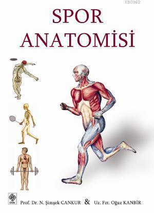 Spor Anatomisi