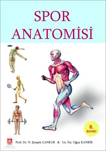 Spor Anatomisi