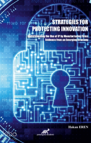 Strategies For Protecting Innovation