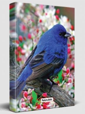 Süresiz Planlama Defteri - Kuş Bakışı