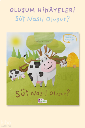 Süt Nasıl Oluşur?