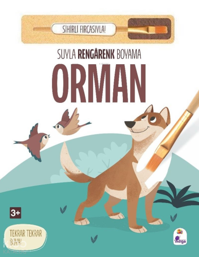 Suyla Rengarenk Boyama - Orman (Sihirli Fırçasıyla)