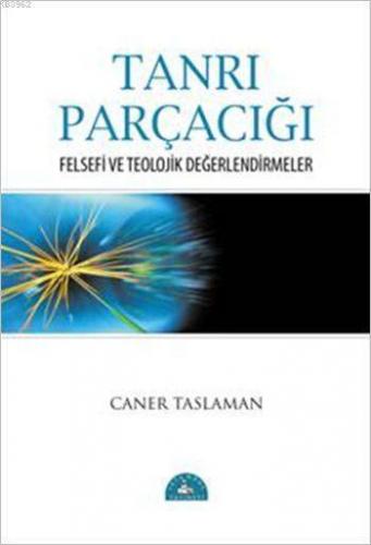 Tanrı Parçacığı; Felsefi ve Teolojik Değerlendirmeler