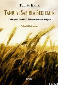 Tanrı'yı Sabırla Beklemek; Zakkay'ın Öyküsü Bizimle Devam Ediyor - Felsefi Makaleler