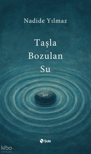 Taşla Bozulan Su