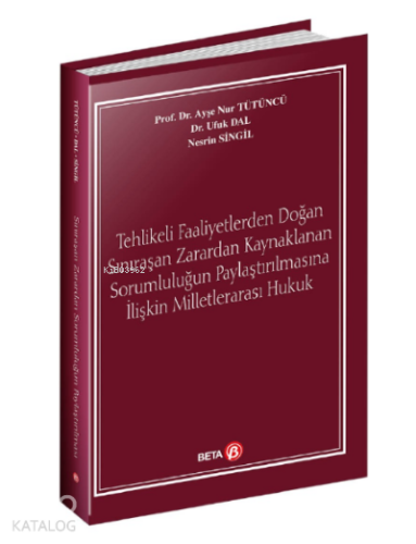 Tehlikeli Faaliyetlerden Doğan Sınıraşan Zarardan Kaynaklanan Sorumluluğun Paylaştırılmasına İlişkin Milletlerarası Hukuk