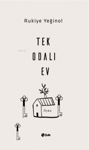 Tek Odalı Ev