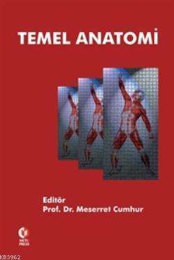 Temel Anatomi