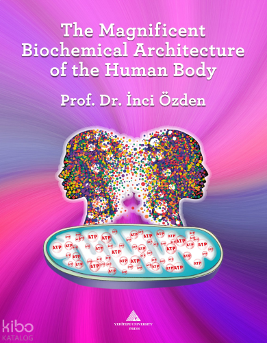 The Magnificent Biochemical Architecture of the Human Body