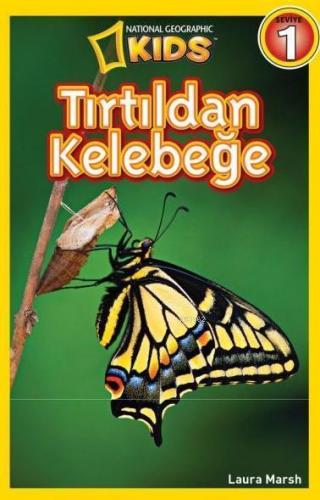 Tırtıldan Kelebeğe