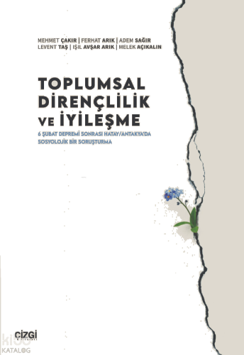Toplumsal Dirençlilik ve İyileşme;6 Şubat Depremi Sonrası Hatay-Antaky
