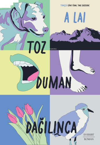 Toz Duman  Dağılınca