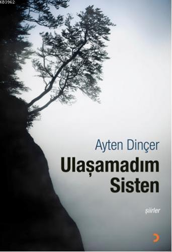 Ulaşamadım Sisten