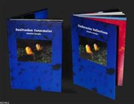 Underwater Reflections