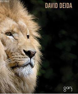 Üstün Erkeğin Yolu; Kadınlar, Cinsellik ve İş Yaşamında Ustalaşmak İçin Ruhsal Bir Rehber