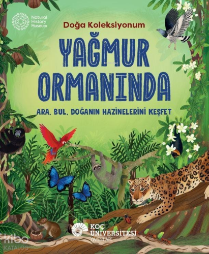 Yağmur Ormanında;Ara, Bul, Doğanın Hazinelerini Keşfet