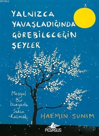 Yalnızca Yavaşladığında Görebileceğin Şeyler; Meşgul Bir Dünyada Sakin Kalmak