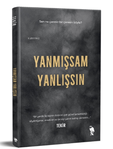 Yanmışsam Yanlışsın