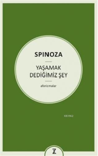 Yaşamak Dediğimiz Şey