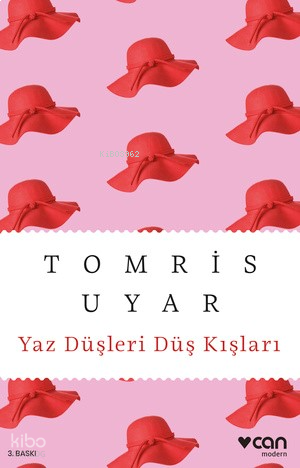 Yaz Düşleri Düş Kışları