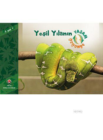 Yeşil Yılanın Yaşam Döngüsü