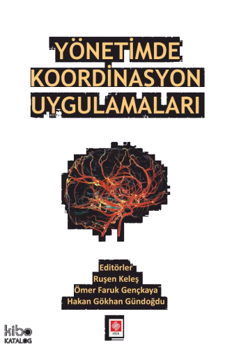 Yönetimde Koordinasyon Uygulamaları
