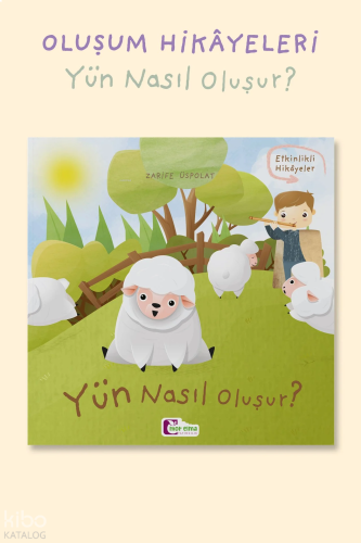 Yün Nasıl Oluşur?