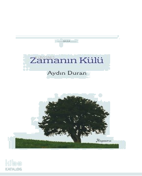 Zamanın Külü