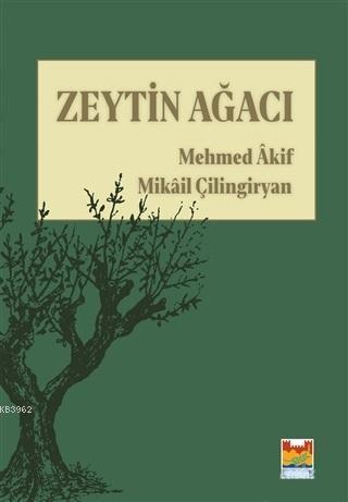 Zeytin Ağacı