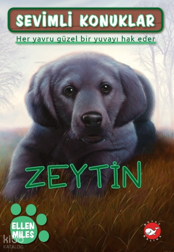 Zeytin;Sevimli Konuklar - 3